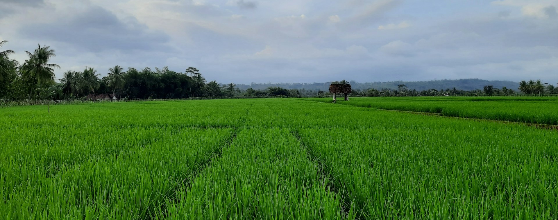 India’s 2047 Economic Vision Hinges on Farmer-Centric Sustainable Agriculture